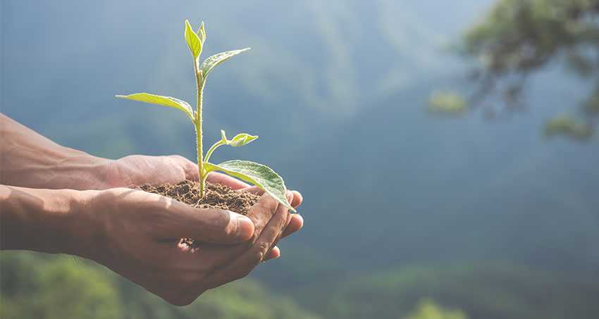 Enviroment Social Enviroment Social